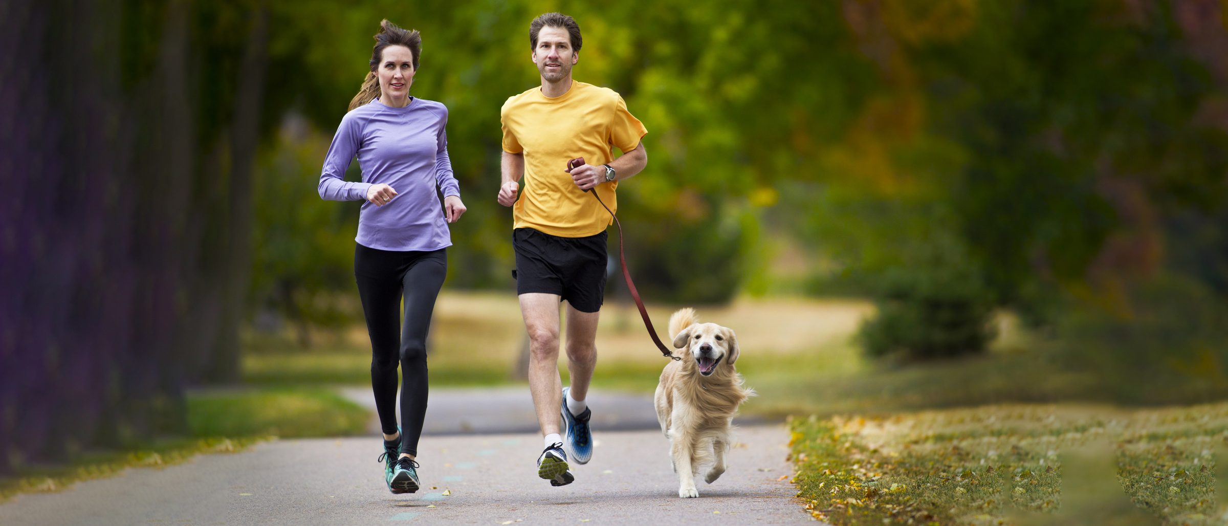 Two runners and a dog on a shaded paved path running between mature trees.